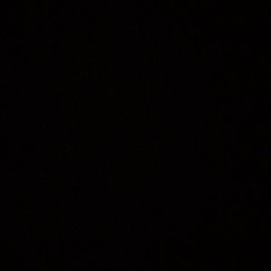 Meet your Posher, Evan